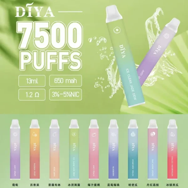 【DIYA叮啞】DIYA叮啞拋棄式-7500口 | 可充電 | 獨家薔薇布林口味登場!!